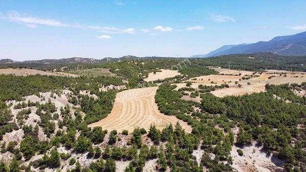  Pamukkale Karakurt Mh. 5.702 m2 SATILIK TARLA