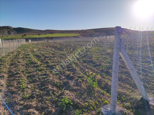 SARAYKÖYDE 300 METRE KARE SATILIK BAHÇE