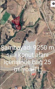 TEK TAPU Şambayadı 9250 m sarı konut alanı içerisinde bağ 25 milyon TL 
