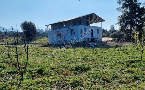 köyceğiz zeytinalanı mah.satılık 3482 m2 arazi ve iki katlı ev