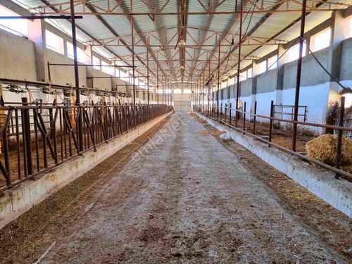  Ahmet Sezer'den Tekirdağ Malkara'da Kiralık Çiftlik