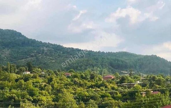 Antalya Gazipaşa sugözü köyü 25 dönüm tek tapu satılık