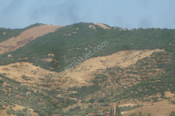 İzmir Torbalı Gold Emlaktan Satılık Marjinal Tarla