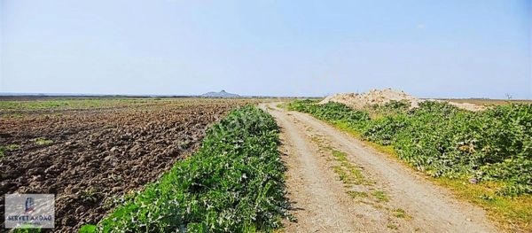 SARIÇAM AVCILAR KÖYÜ SATLIK 34.DÖNÜM ELEKTİRİK SULU BAHÇE TARLA