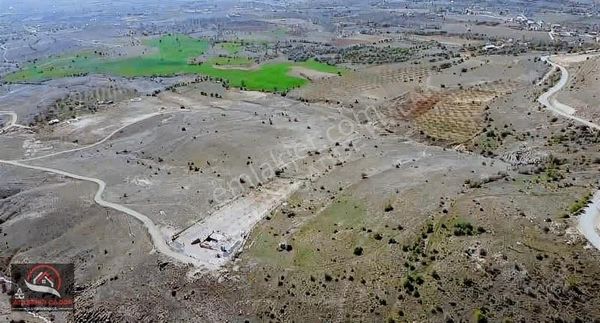 [ACG] SULTANUŞAĞI KÖYÜ' NDE 7.150 M2 SATILIK TARLA