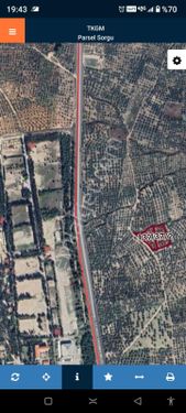  Manisa Kırkağaç Şair Eşref Mahallesinde 7,233metrekare zeytinlik 