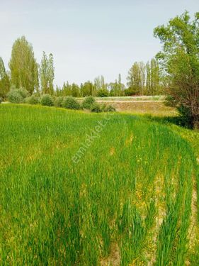  AFYON MERKEZ SÜLÜNMENLİDE SATILIK TARLA