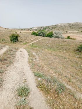  AFYON SARAYDÜZÜNDE SATILIK TARLA