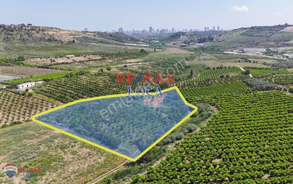 REMAX LOCA'DAN KARAİSALI ÇİVİÇUKURUNDA 7.984 M2 BOŞ ARAZİ