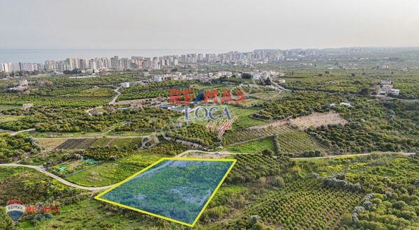 REMAX LOCA'DAN DAVULTEPE'DE 0,60 YOĞUNLUKLU 4 DÖNÜM ARSA