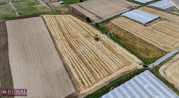 İZMİR MENDERES ÇİLEMEDE 9300 M2 TEK MÜSTAKİL TAPU ULAŞIMA YAKIN