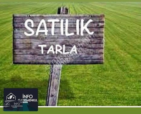 İNFO GAYRİMENKUL HACIALİ MAH.SATILIK TARLA 500 M2 HİSSELİ