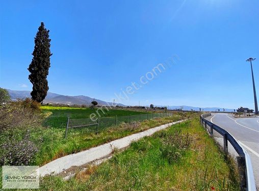 İZMİR MENEMEN FOÇA YOLU ÜZERİNDE HER AMACA UYGUN TARLA