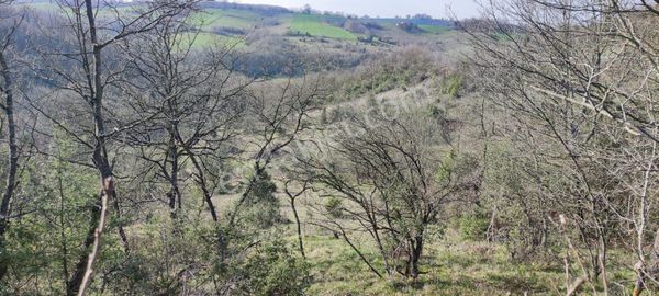  RW Nova 'dan Körfez Dereköy'de Ana Cadde üzeri Satılık Arsa