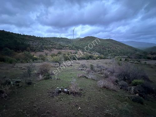 ÇANAKKALE MERKEZ BODURLAR KÖYÜNDE 19 DÖNÜM TARLA