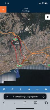 İstanbul Silivri Çeltik Son 11 adet Yetişen alır