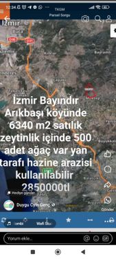 İzmir Bayındır Arıkbaşı köyünde 6340m2 arkası hazine arazisi satılık zeytinlik
