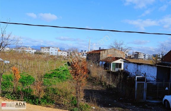 RW ADA'dan OSMANGAZİ ÇUKURCA MAH.UYGUN SATILIK TARLA