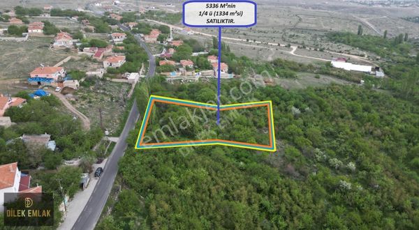 DİLEK EMLAK'TAN KIRKPINAR'DA ASFALT KENARI 1334 M² SATILIK BAHÇE