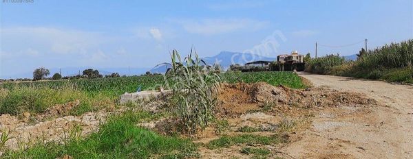  Torbalı Muratbey Mah  İmar Sınırında Tek Tapu  9184m2 Satılık Tarla 