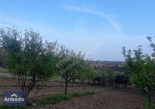 İZMİR MENEMEN GÖRECE MAHALLESİNDE SATILIK TARLA