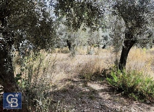 ULA GÖKÇEDE DOĞA İÇİNDE EMSALSİZ ARAZİ..