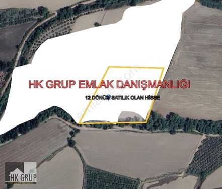 SEYDİKEMER GÜNEŞLİ KÖYÜNDE YATIRIMLIK 12 DÖNÜM SATILIK ARSA