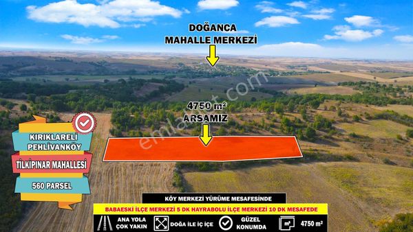  PEHLİVANKÖY DE TEPE KONUMDA OLAN 4750 MT TARLAMIZ