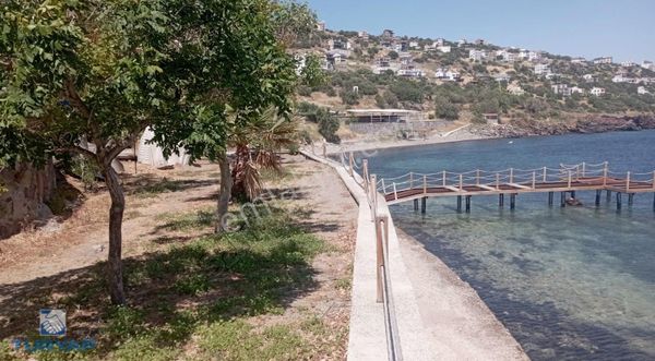 Turyap Dikili'den Çandarlı'da geniş bahçeli yazlık satılıktır.