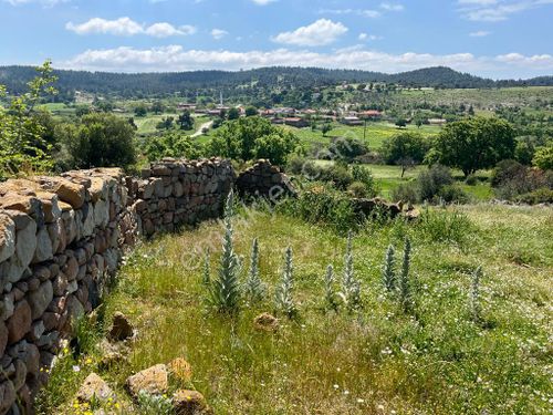  ÇANAKKALE BAYRAMİÇ BEKİRLER KÖYÜNDE SATILIK FIRSAT BAHÇE