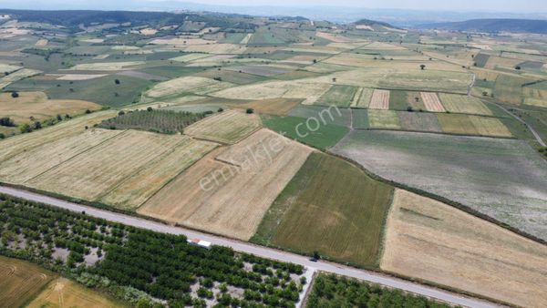  BALIKESİR ALTIEYLÜL PAŞAKÖY'DE ASFALTA CEPHE SATILIK TARLA