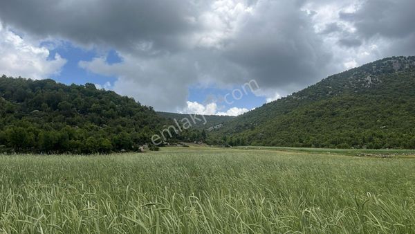  ASYA EVİM GAYRİMENKULDEN DEREKÖY DE SATILIK HOBİ BAHÇESİ 