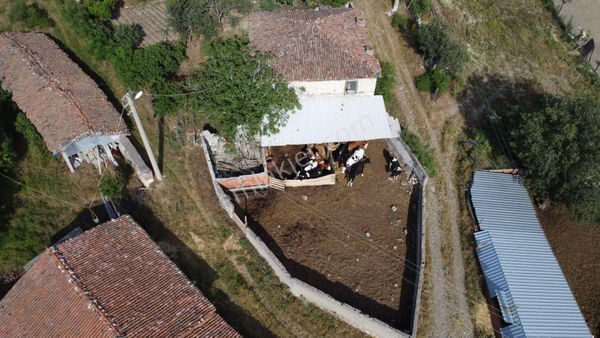  ÇANAKKALE BAYRAMİÇ ÖRENLİ KÖYÜ BAHÇELİ MÜSTAKİL TAŞ EV