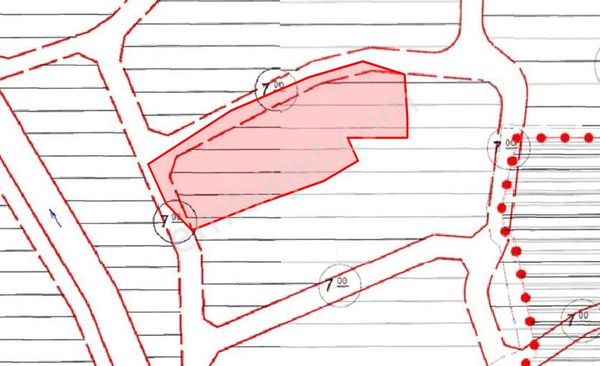  Gesi Güney 2.570 m2 Bahçe, İmarda 2 Yanında 7 m yol var.