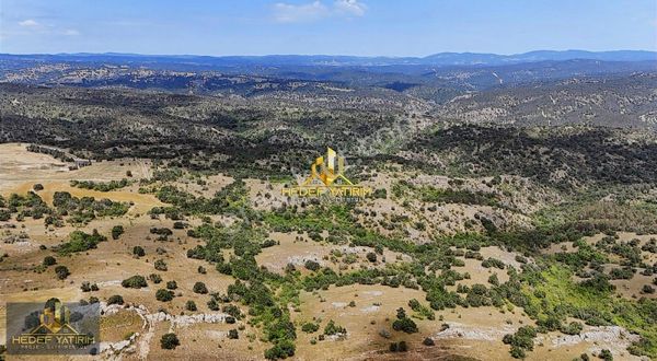 Bakanın Çiftliğinin Yanında TEK TAPU 65 DÖNÜM Arazi