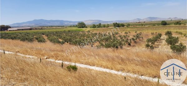  ÇANDARLI LİMANI BÖLGESİNDE OTOBAN YANINDA 9.3 DÖNÜM TARLA