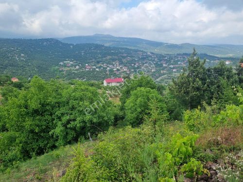 MERSİN TOROSLAR KAVAKLIPINAR MAH.'DE SATILIK BAHÇE