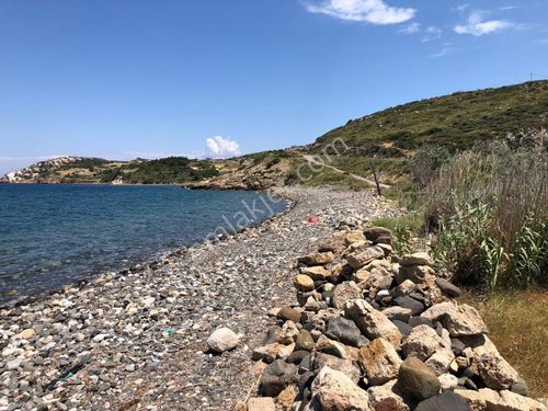 İzmir Karaburun Bozköy'de Denize Sıfır Satılık Tarla