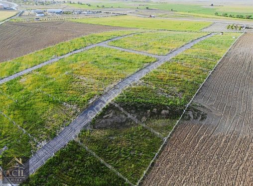 YAVRUCUK NATO YOLU YANINDA GELECEĞE ANLAM KATAN HOBİ BAHÇELERİ !