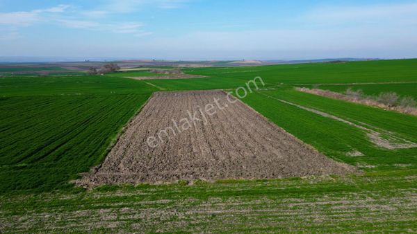 Edirne Uzunköprü kurtbey