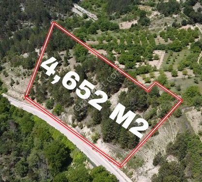 UZUNÖZ MAHALLESİNDE ASFALTA CEPHE PANORAMIK MANZARAYA SAHİP 4,652 M2 ARAZI