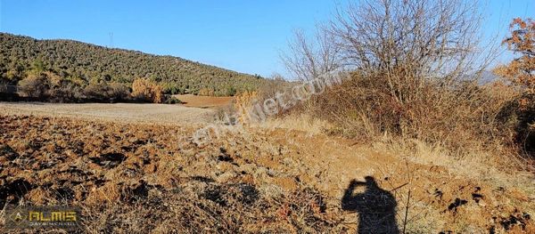 FIRSAT YATIRIMLIK TARLA YOL VE DOĞA MANZARALI