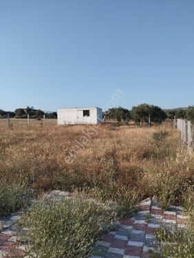  TORBALI YAZIBAŞI İMAR SINIRINA YAKIN HARİKA KONUMDA