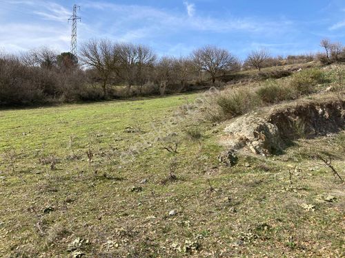 Mir'den Balıkesir Altıeylül Akarsu Mah'de 7.300 M2 Satılık Bahçe