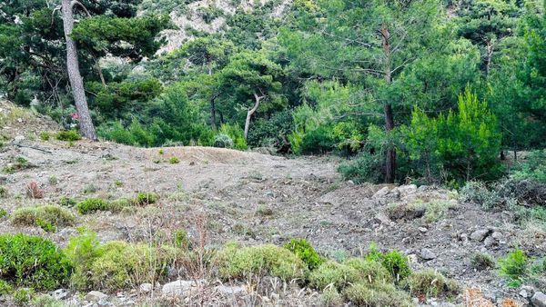 KUMLUCA ADRESAN DA SATILIK DOĞA MANZARALI 