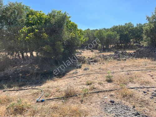 Türkmen şelalesi asvalt üzerinde satılık yatırımlık 9 dönüm arazi takas olur