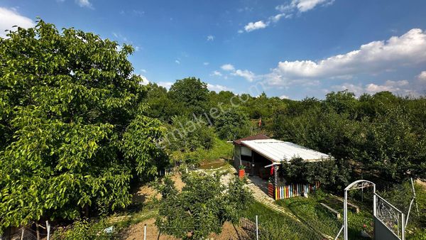 ​ROMA' dan DOĞANYURDUNDA SATILIK HAZIR KURULU HOBİ BAHÇESİ