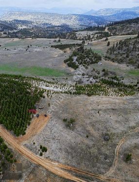 SEZER Gayrimenkul'den Satılık Kupon Tarla