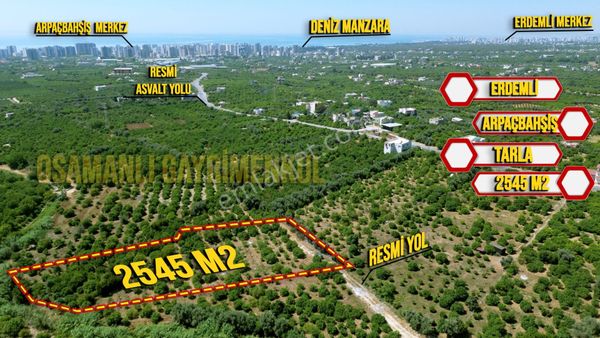  ERDEMLİ ARPAÇBAHŞİŞ SATILIK 2545 M2 PARSEL