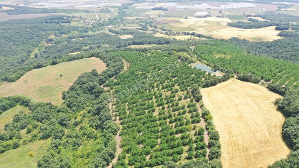  ÇANAKKALE BİGA SİNEKÇİ 3.585 M2 SATILIK YATIRIMLIK TARLA